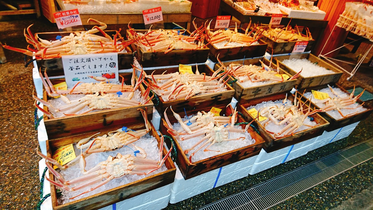 f:id:teineinikurasu:20190209150414j:image f:id:teineinikurasu:20190209150414j:image