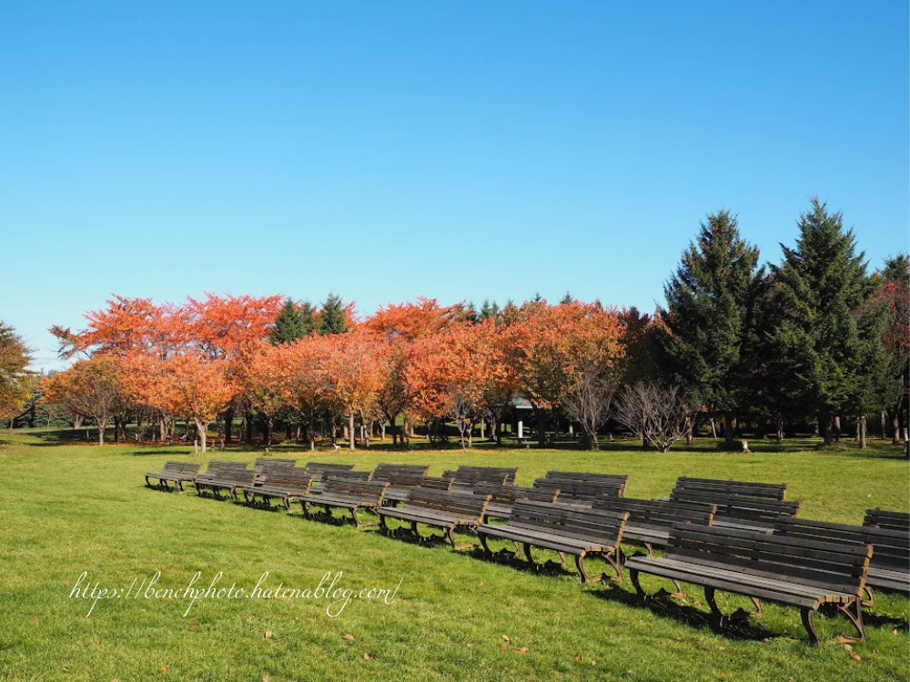 ベンチの写真No.55 札幌市手稲区 星観緑地のベンチ ベンチブログ