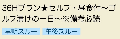 f:id:teinen-golf:20190805232246j:plain