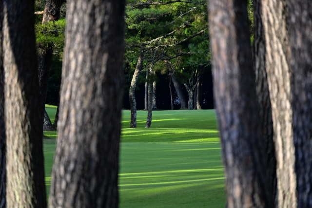 f:id:teinen-golf:20210502134408j:plain