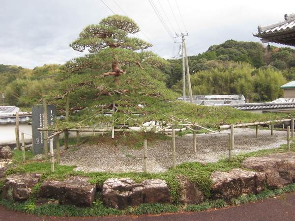 f:id:teinenoyaji:20210322174856j:plain