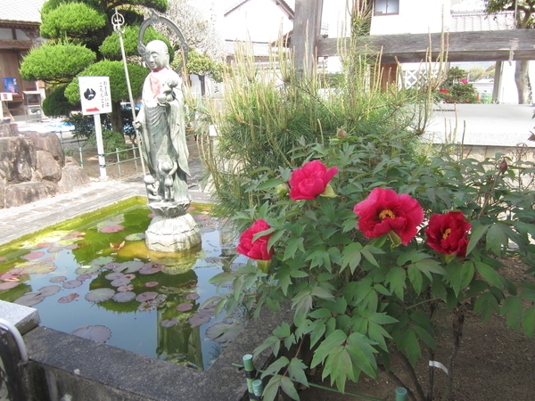 f:id:teinenoyaji:20210409090826j:plain