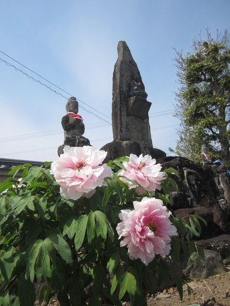 f:id:teinenoyaji:20210409090846j:plain