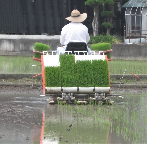 f:id:teinenoyaji:20210614171459j:plain