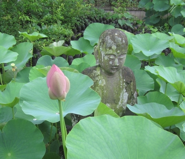 本当に信頼出来る商品 ハスの花咲く地蔵寺 - 定年後の生活ブログ クラフト・布製品