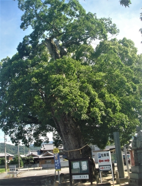 f:id:teinenoyaji:20210801165529j:plain