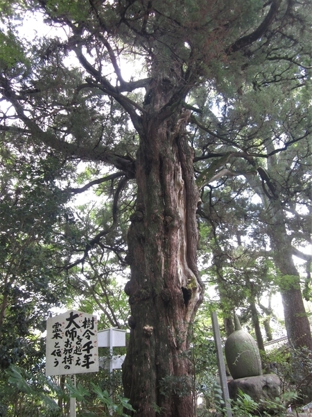 f:id:teinenoyaji:20210914075311j:plain