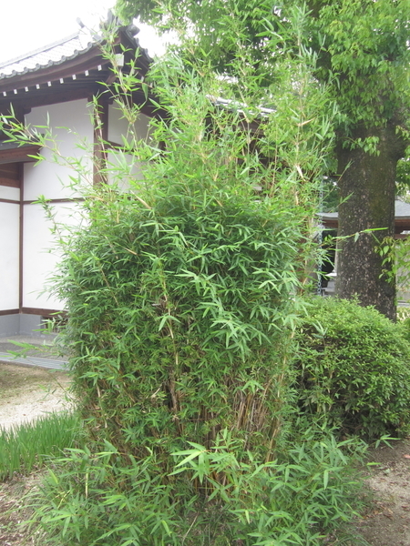 f:id:teinenoyaji:20210918085307j:plain