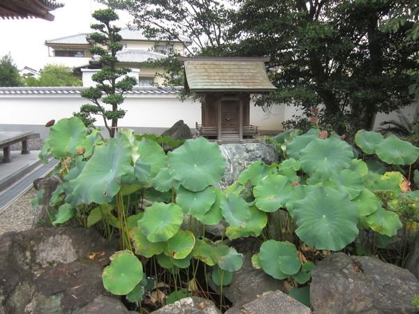 f:id:teinenoyaji:20210918085324j:plain