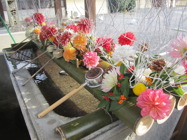 f:id:teinenoyaji:20211230080538j:plain