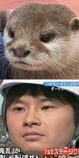f:id:teisi:20110209234209j:image
