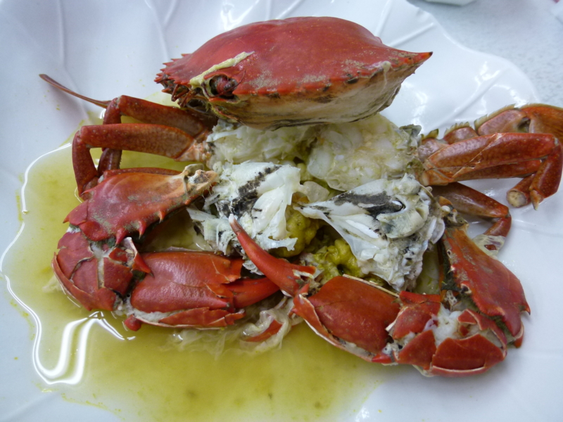 f:id:teitarakuen:20120428214732j:image:w640 f:id:teitarakuen:20120428214732j:image:w640