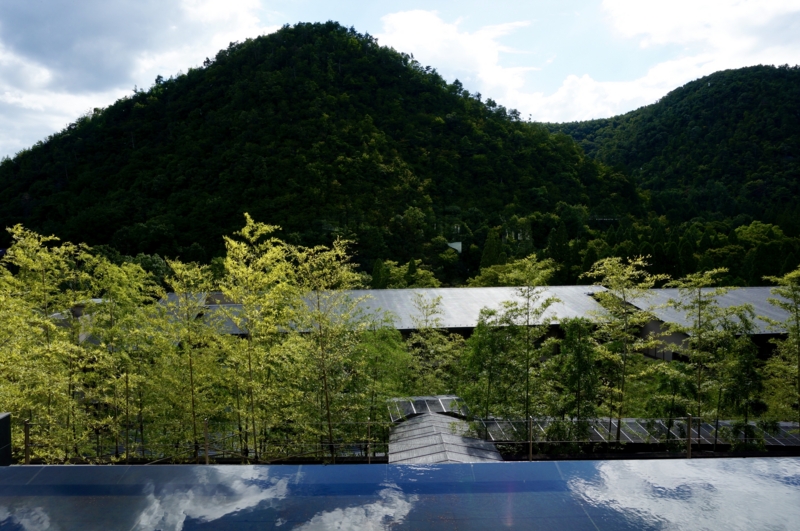 f:id:teitarakuen:20160903214017j:image:w640 f:id:teitarakuen:20160903214017j:image:w640