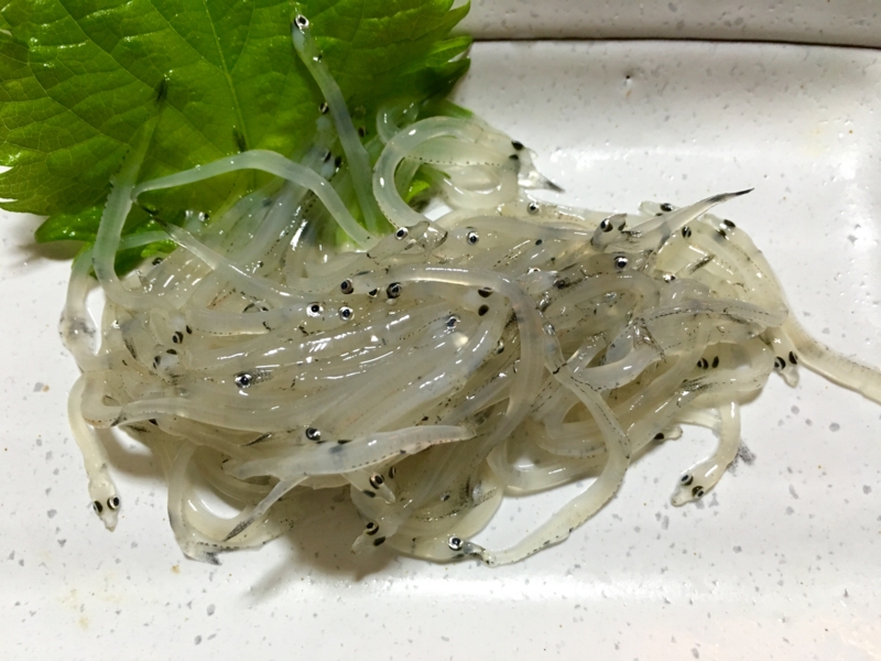 f:id:teitarakuen:20161210094748j:image:w640 f:id:teitarakuen:20161210094748j:image:w640