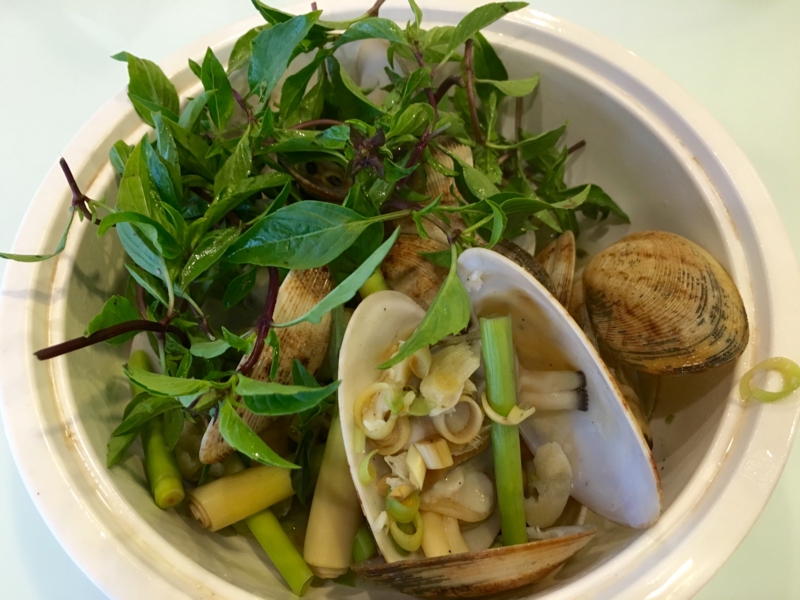 f:id:teitarakuen:20170501215219j:image:w640