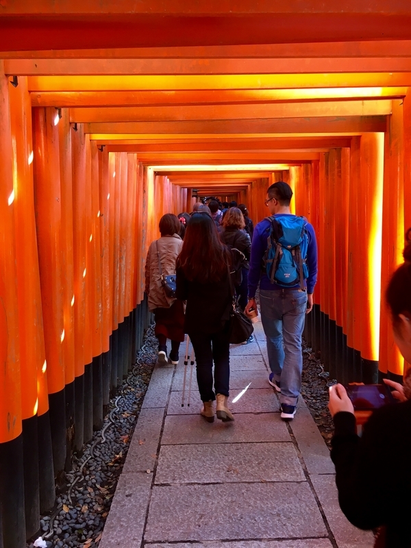 f:id:teitarakuen:20181111203016j:image:w640