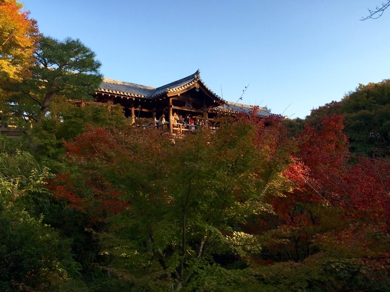 f:id:teitarakuen:20181111205642j:image:w640