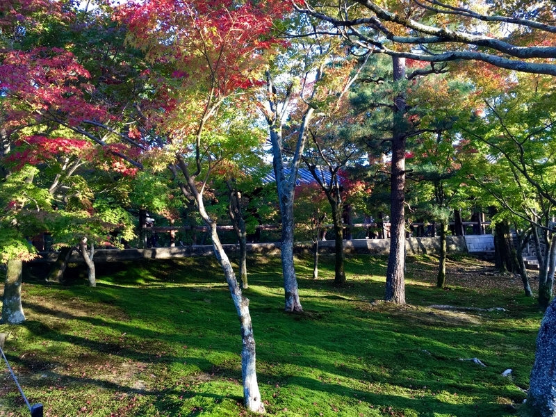 f:id:teitarakuen:20181111210254j:image:w640