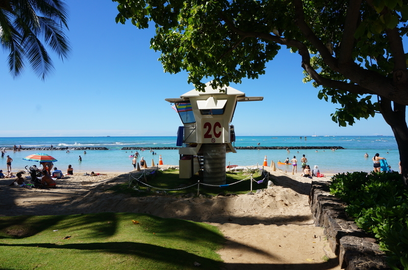 f:id:teitarakuen:20190112095601j:plain f:id:teitarakuen:20190112095601j:plain