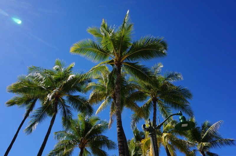 f:id:teitarakuen:20190112095610j:plain f:id:teitarakuen:20190112095610j:plain