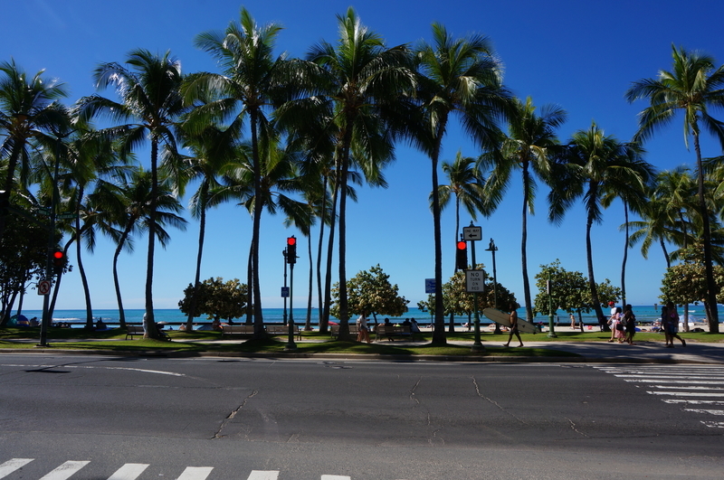 f:id:teitarakuen:20190112095619j:plain f:id:teitarakuen:20190112095619j:plain