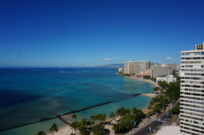 f:id:teitarakuen:20190112095628j:plain f:id:teitarakuen:20190112095628j:plain