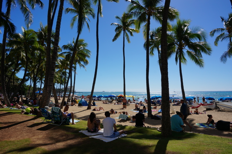 f:id:teitarakuen:20190112095704j:plain f:id:teitarakuen:20190112095704j:plain