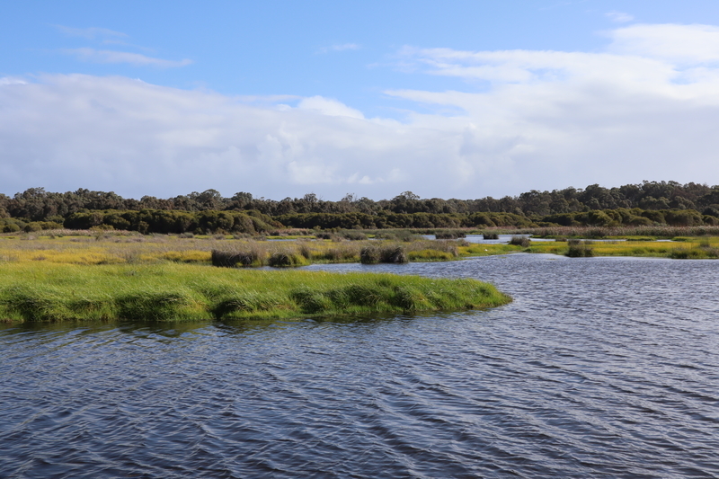 冬のオーストラリア旅行 パース〜ピナクルス 体たらく日記