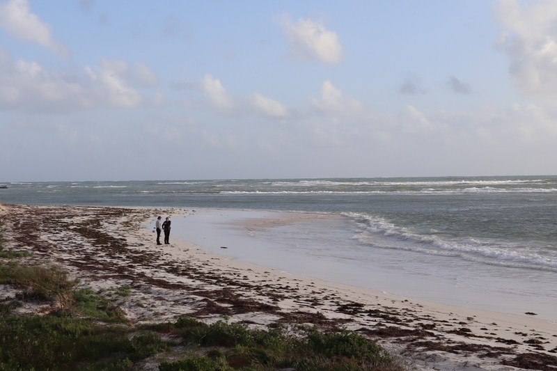冬のオーストラリア旅行 パース〜ピナクルス 体たらく日記