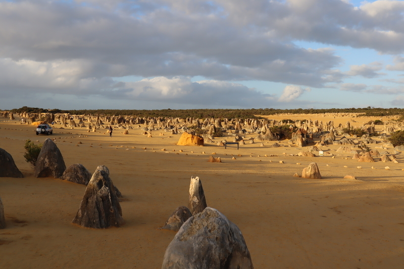 冬のオーストラリア旅行 パース〜ピナクルス 体たらく日記