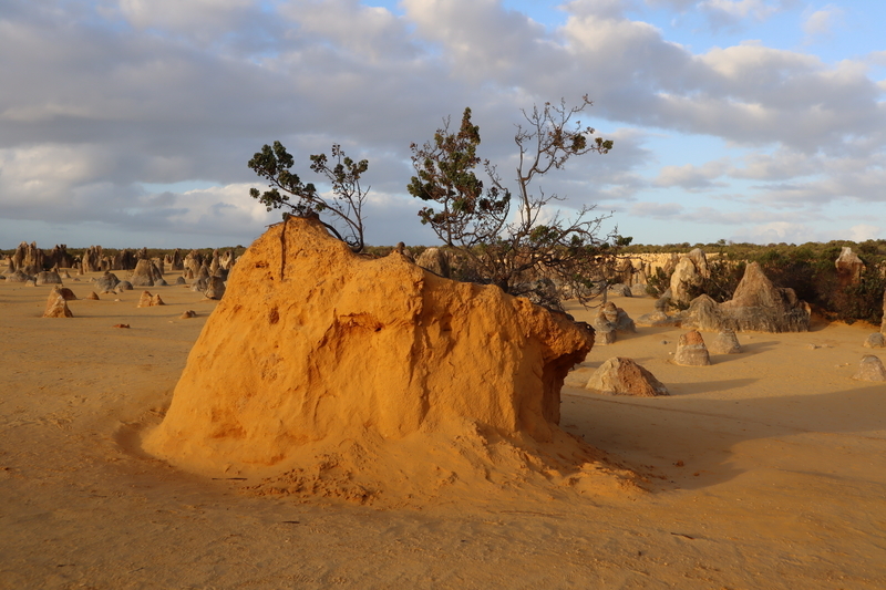 冬のオーストラリア旅行 パース〜ピナクルス 体たらく日記