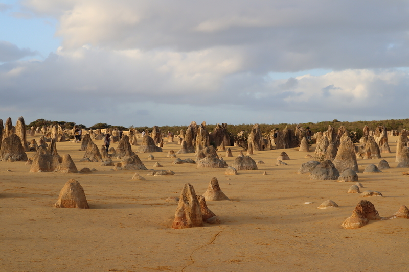 冬のオーストラリア旅行 パース〜ピナクルス 体たらく日記