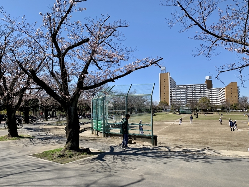 f:id:teitarakuen:20200320171516j:plain