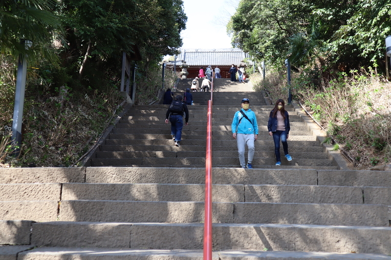 f:id:teitarakuen:20200322110400j:plain