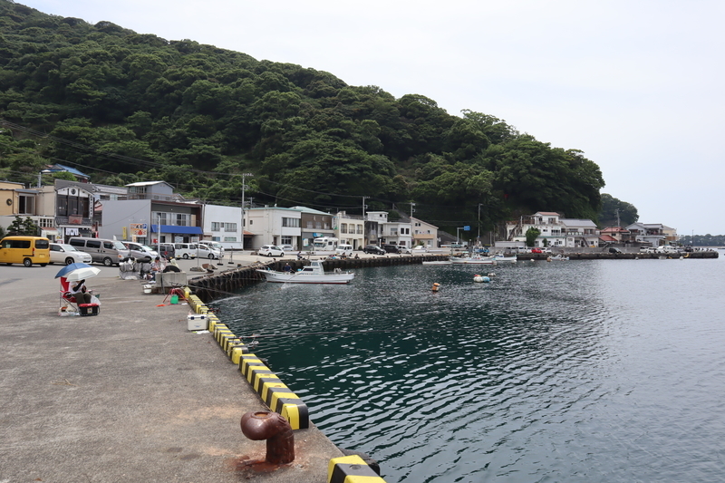 f:id:teitarakuen:20200628131549j:plain