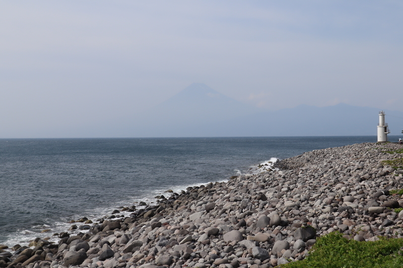 f:id:teitarakuen:20200628131621j:plain