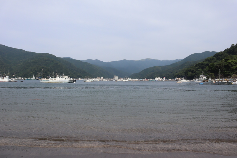 f:id:teitarakuen:20200628131632j:plain