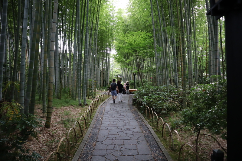 f:id:teitarakuen:20200628135106j:plain