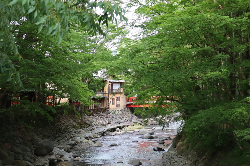 f:id:teitarakuen:20200628135130j:plain