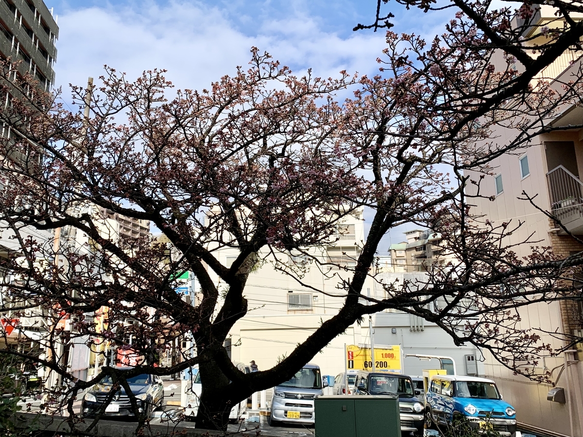 f:id:teitarakuen:20220110210425j:plain