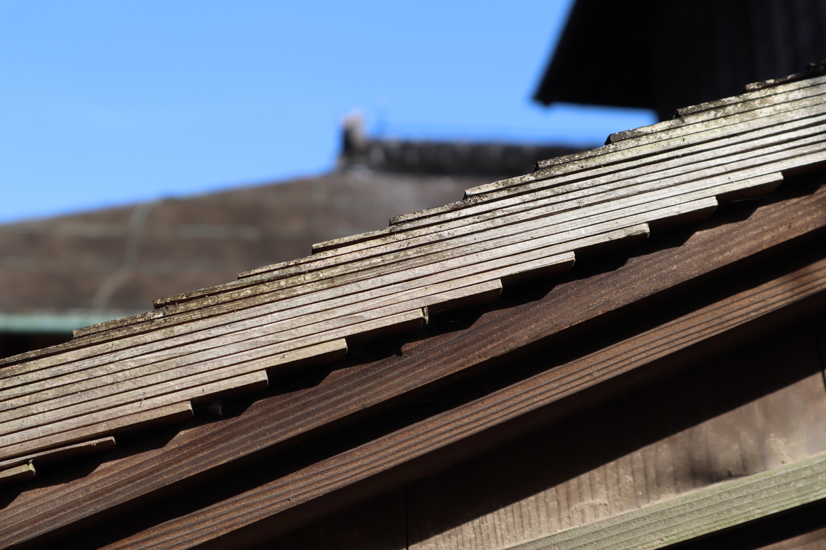 f:id:teitarakuen:20220321064332j:plain