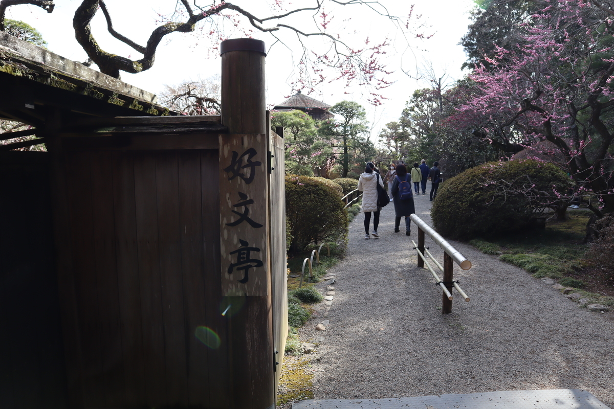 f:id:teitarakuen:20220321064406j:plain