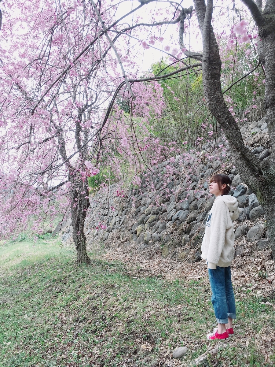f:id:tekatank:20190411200138j:plain f:id:tekatank:20190411200138j:plain