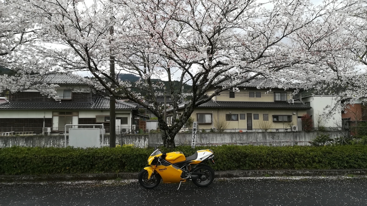 f:id:tekitow-rider:20200412111048j:plain f:id:tekitow-rider:20200412111048j:plain