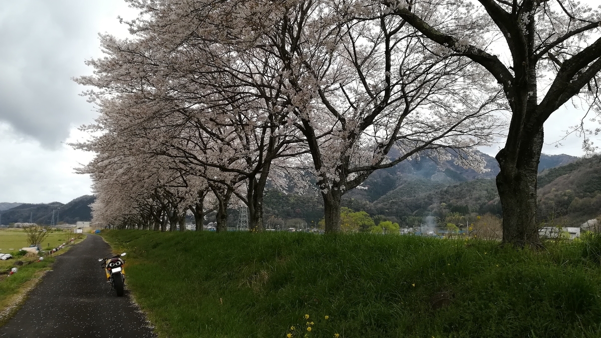 f:id:tekitow-rider:20200412111529j:plain f:id:tekitow-rider:20200412111529j:plain