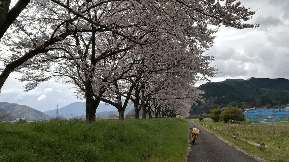 f:id:tekitow-rider:20200412111634j:plain f:id:tekitow-rider:20200412111634j:plain