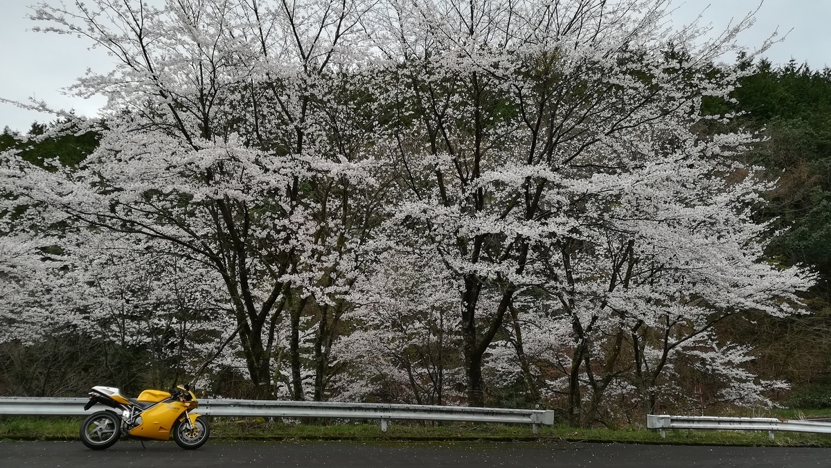 f:id:tekitow-rider:20200412112807j:plain f:id:tekitow-rider:20200412112807j:plain