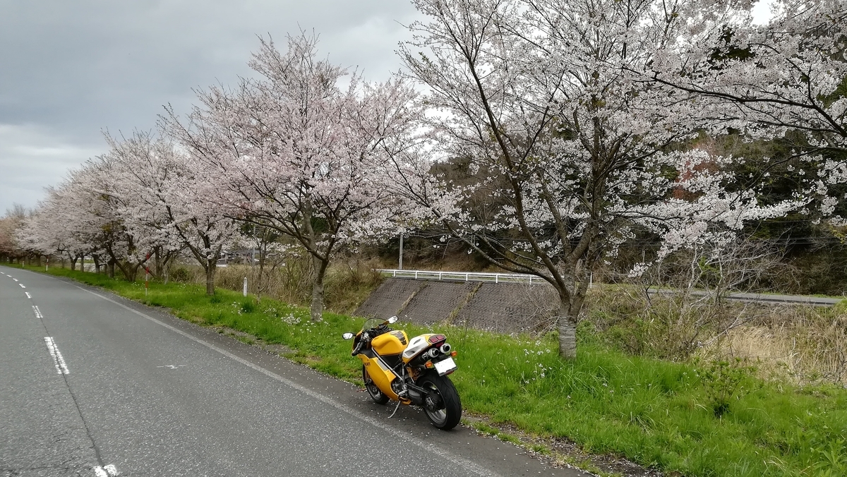 f:id:tekitow-rider:20200412115358j:plain f:id:tekitow-rider:20200412115358j:plain