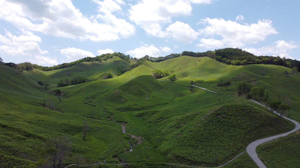 f:id:tekitow-rider:20210603201908j:plain