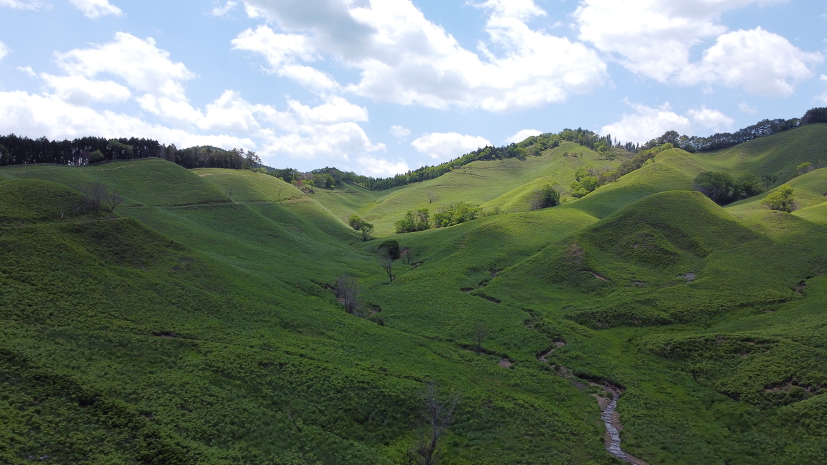 f:id:tekitow-rider:20210603201926j:plain